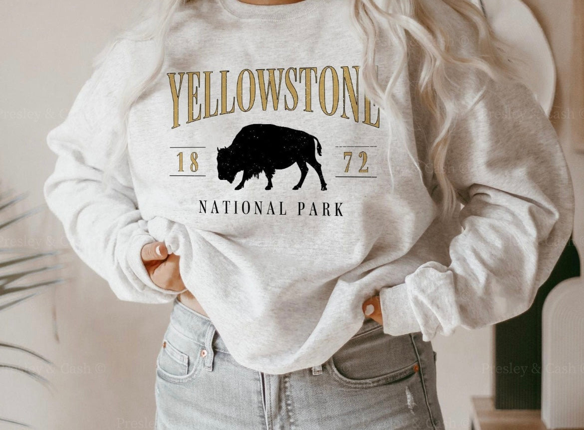 YELLOWSTONE NATIONAL PARK