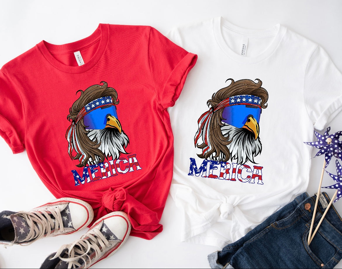 AMERICAN LONG HAIR EAGLE