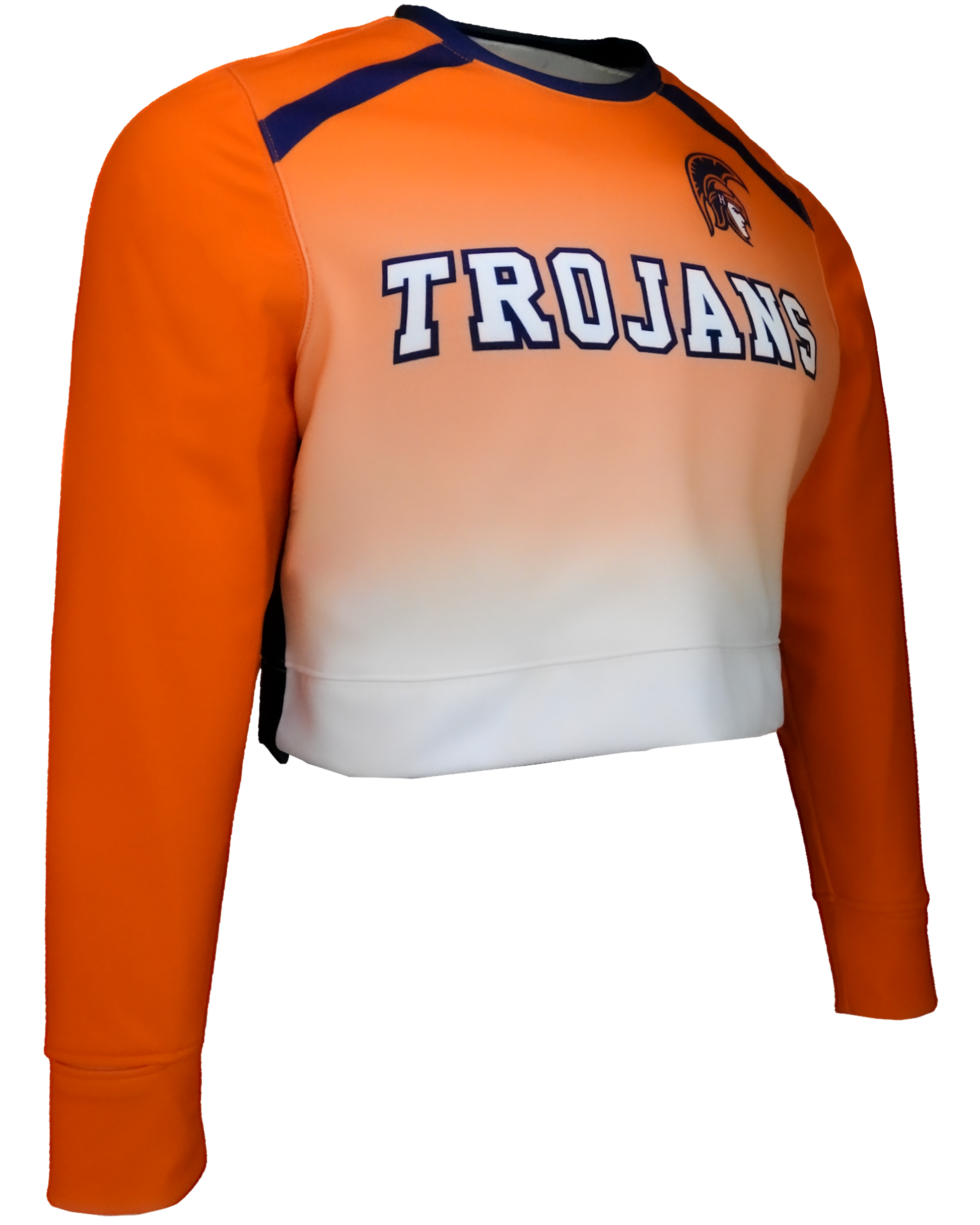 Heavy Performance Fleece Crew Neck Crop Top