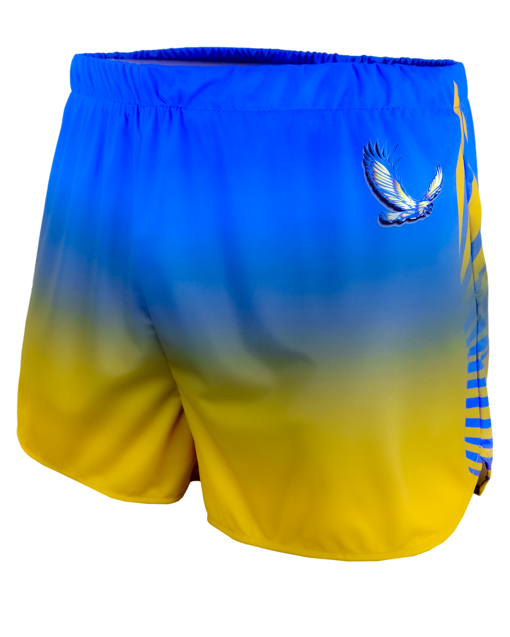 Track Shorts with Liner