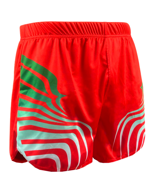 Track Shorts with No Liner